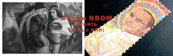 гашик Верея