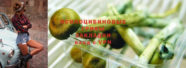 гашик Верея