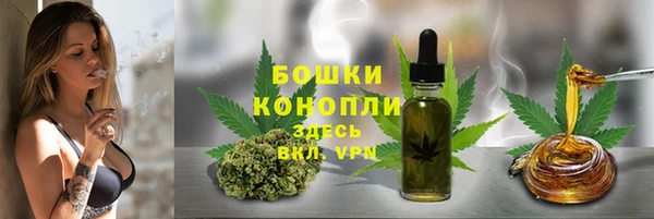 индика Верхнеуральск