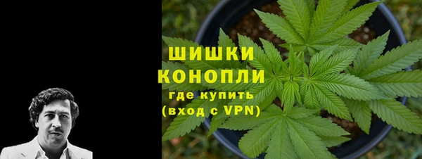 гашик Верея