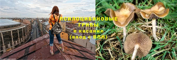 a pvp Богданович