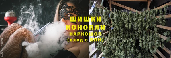 индика Верхнеуральск
