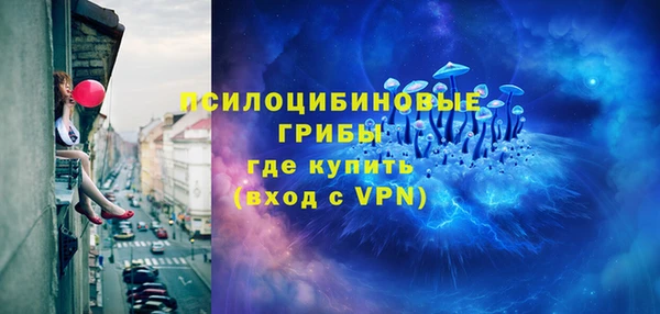 гашик Верея
