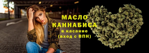 гашик Верея