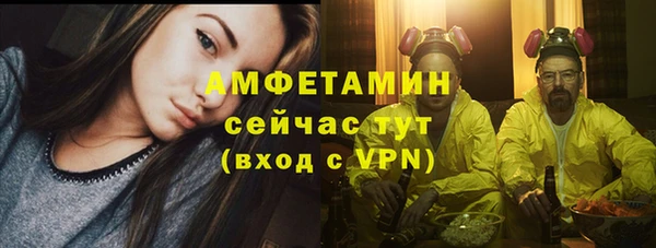 гашик Верея