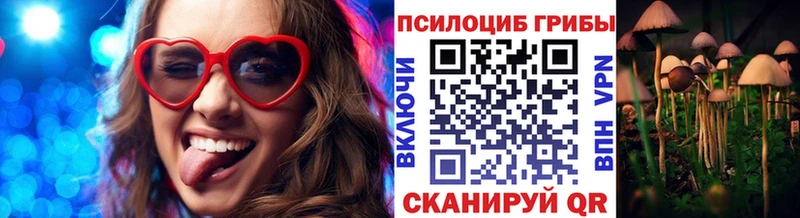 Галлюциногенные грибы Cubensis  Купить  Гагарин 